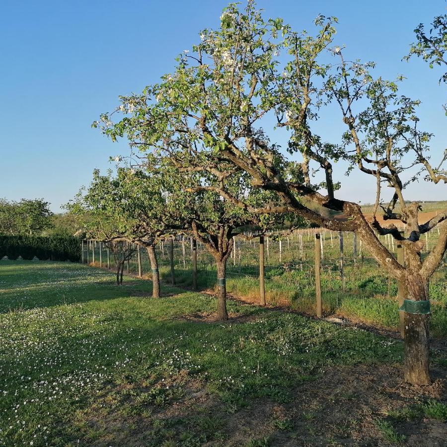 Le Marronnier Lägenhet Saint-Vincent-de-Pertignas Exteriör bild