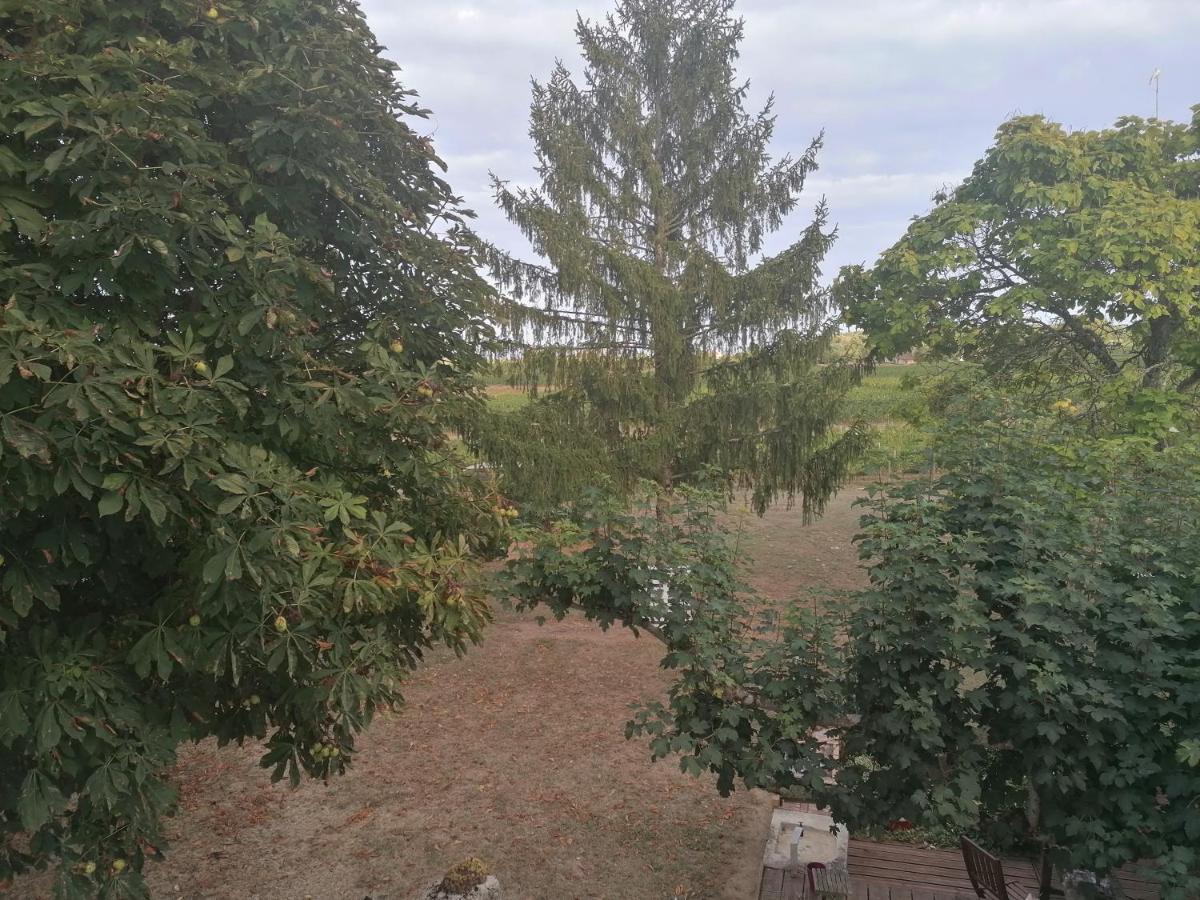 Le Marronnier Lägenhet Saint-Vincent-de-Pertignas Exteriör bild